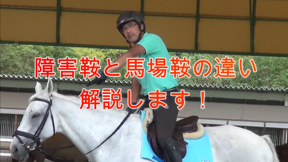 第22回 障害鞍と馬場鞍の違い | 兵庫県神戸から近い乗馬クラブ 明石 ...